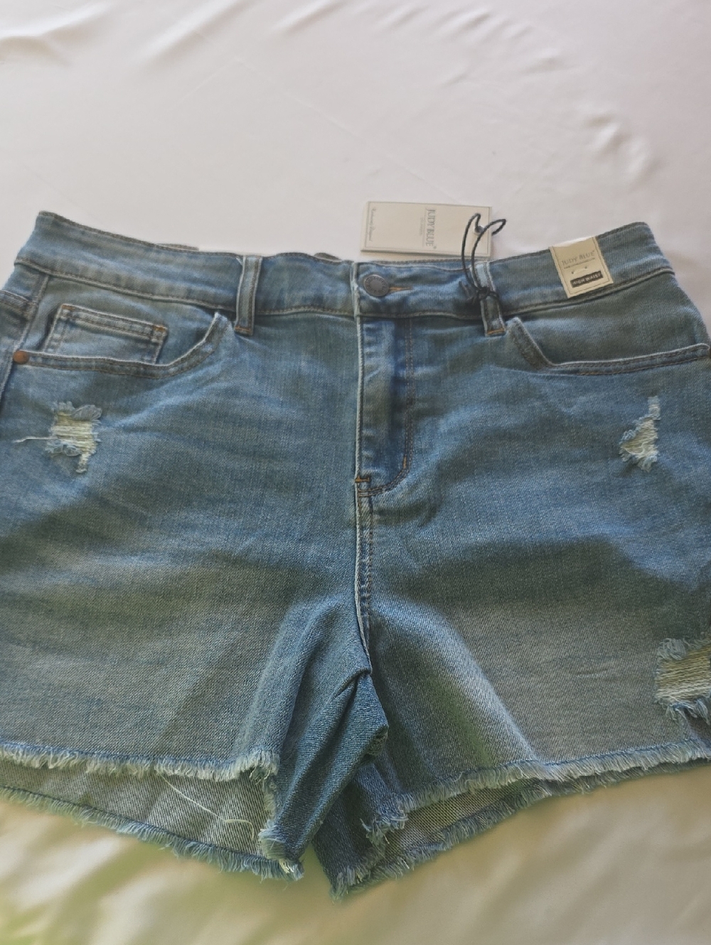 Nwt Judy Blue Light Blue High-Waist Frayed Denim Shorts